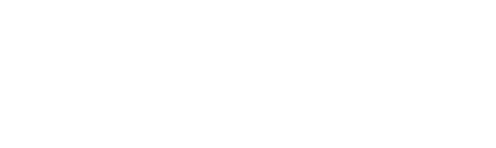 Bluetooth Wordmark